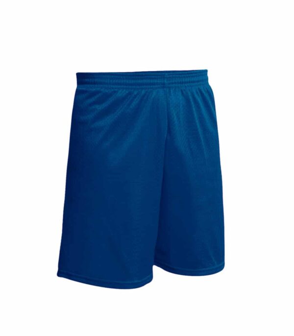 Cheverus Navy Mesh Shorts